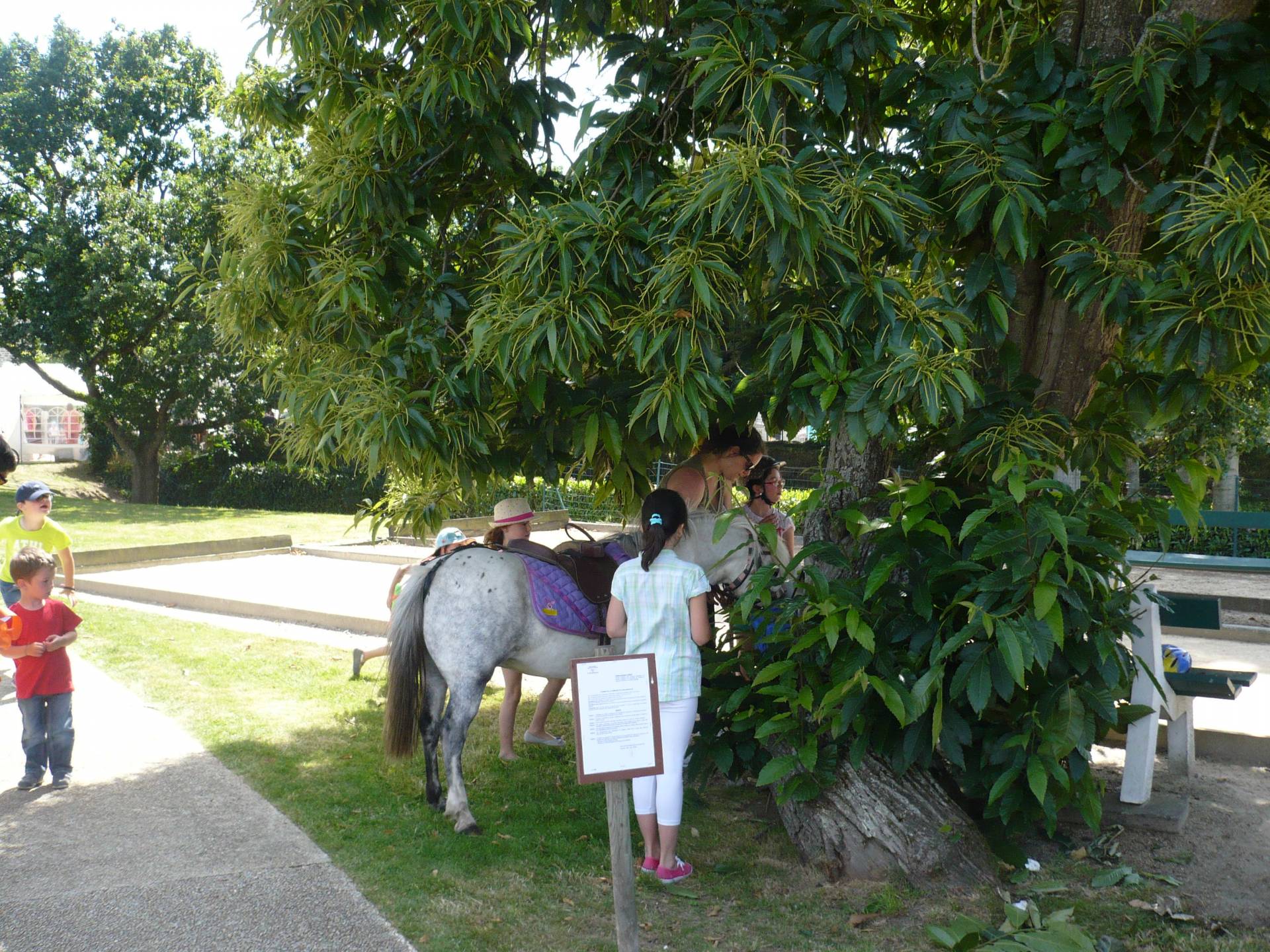La ballade en poney